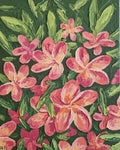 Frangipani