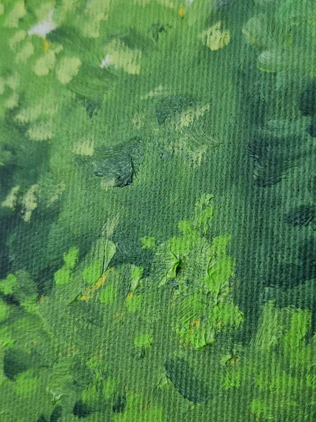 Lily Pond